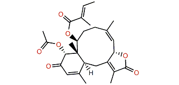 Anthoptilide A